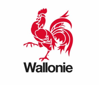wallonie_v.jpg